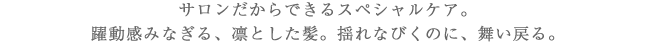 サロンだからできるスペシャルケア。躍動感みなぎる、凛とした髪。揺れなびくのに、舞い戻る